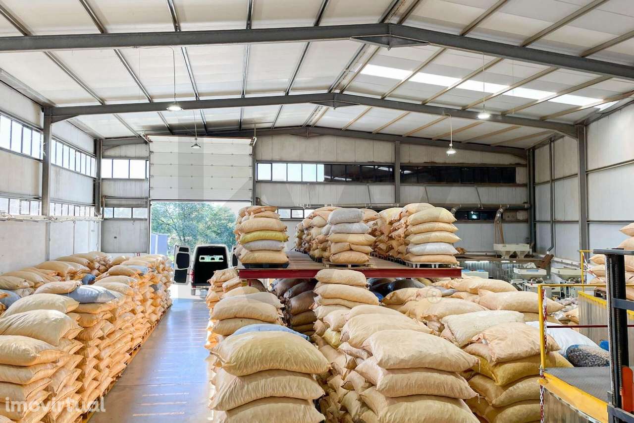 Armazém Industrial | Zona Industrial do Casalinho – Lourosa - Grande imagem: 5/18