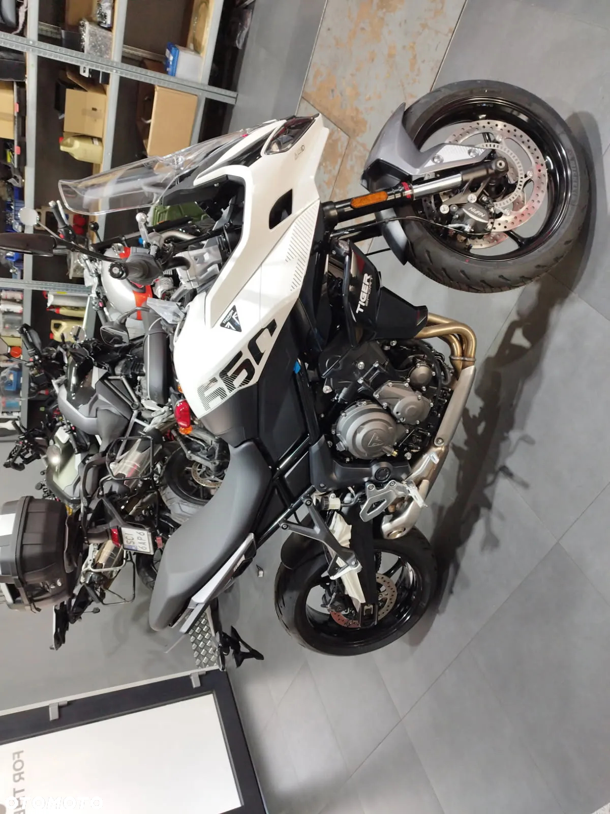 Triumph Tiger - 10