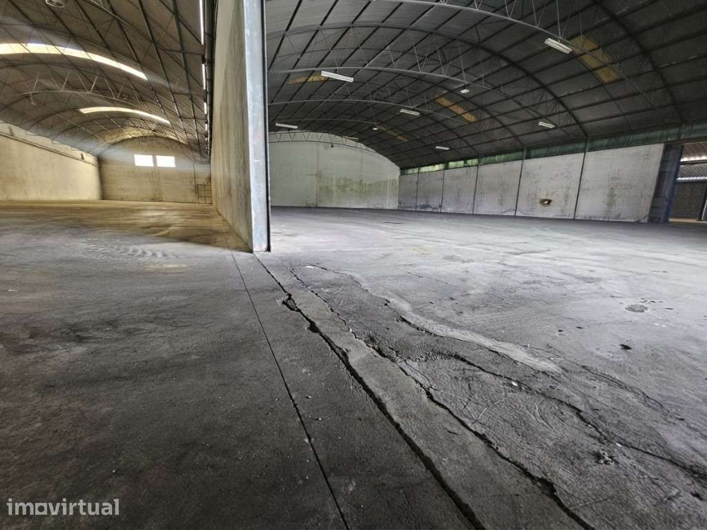 Armazém Industrial e Logístico com Potencial de Expansão | Ourém - Grande imagem: 4/15