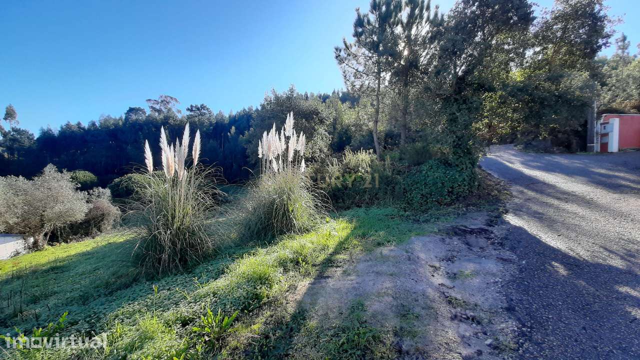 Terreno com projeto aprovado de Moradia Isolada T3 - Picão - Grande imagem: 5/14