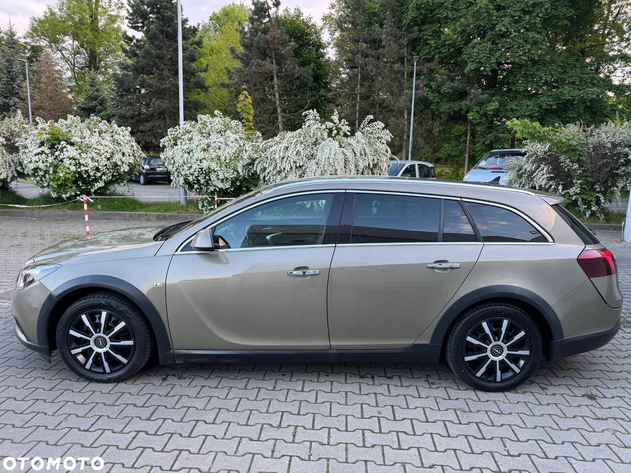 Opel Insignia 2.0 CDTI Cosmo 4x4 S&S - 2