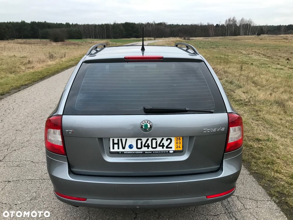 Skoda Octavia - 5