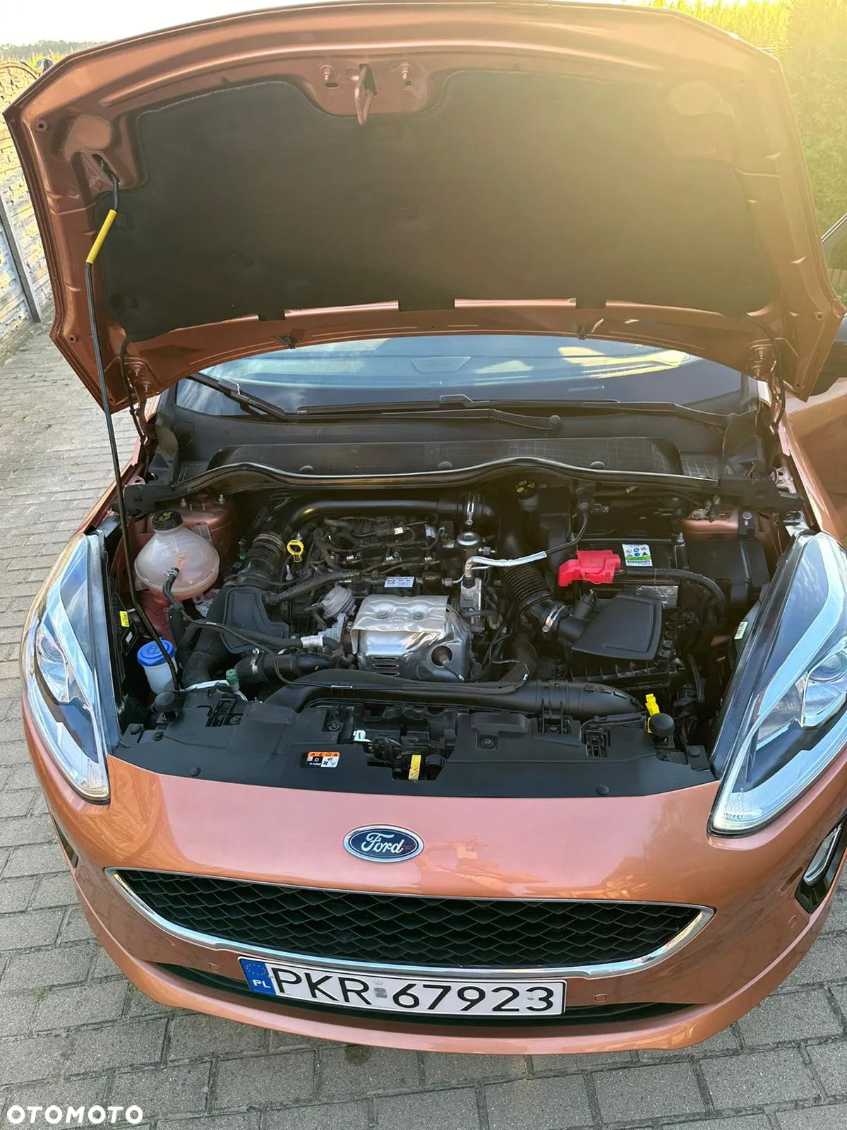 Ford Fiesta 1.0 EcoBoost GPF Titanium ASS - 13