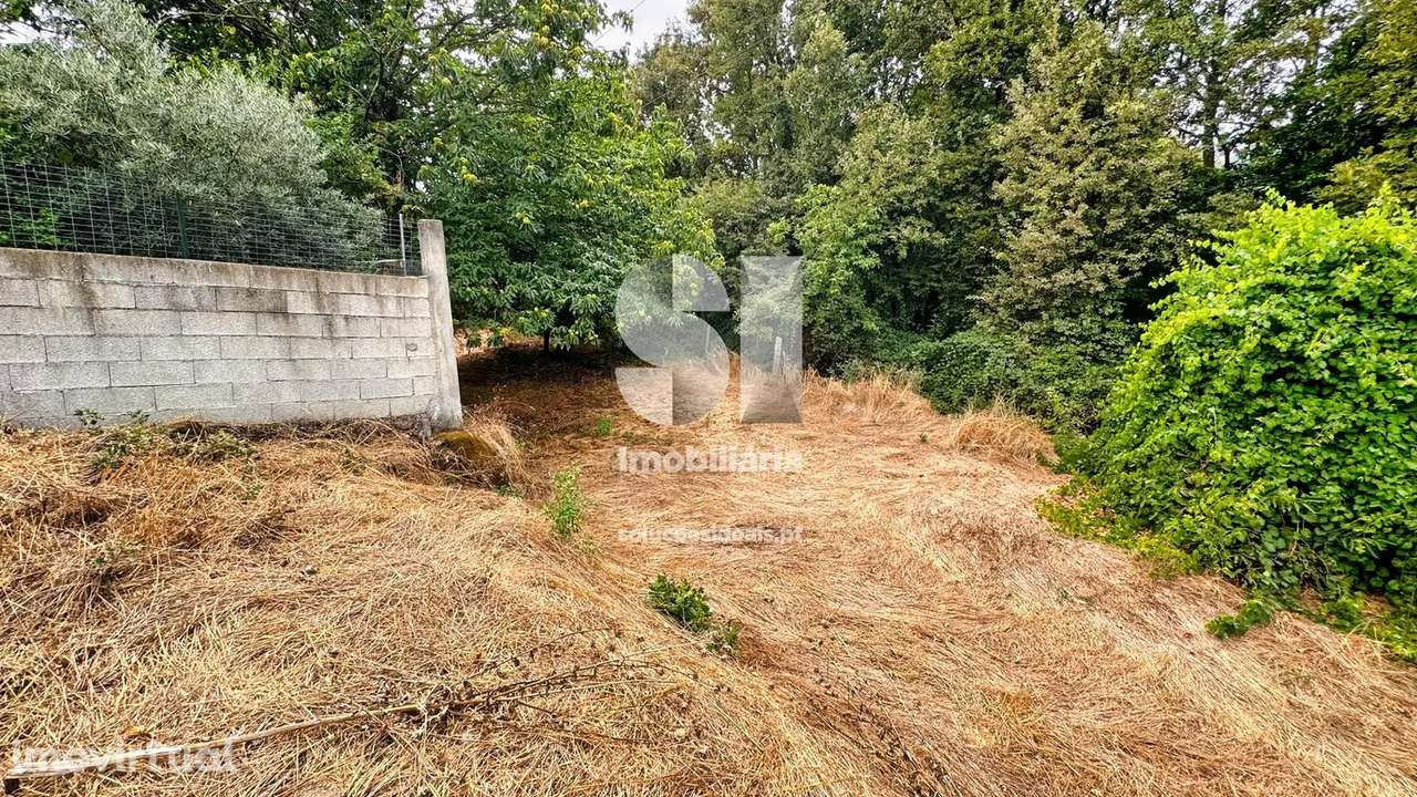 Terreno em Vila real - Grande imagem: 5/10