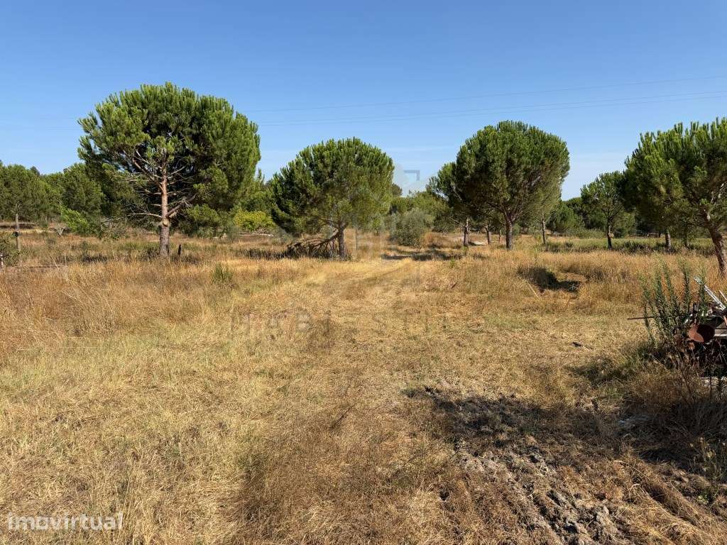 Terreno com 21.250m2 e construções Existentes - Canha, Montijo - Grande imagem: 3/14
