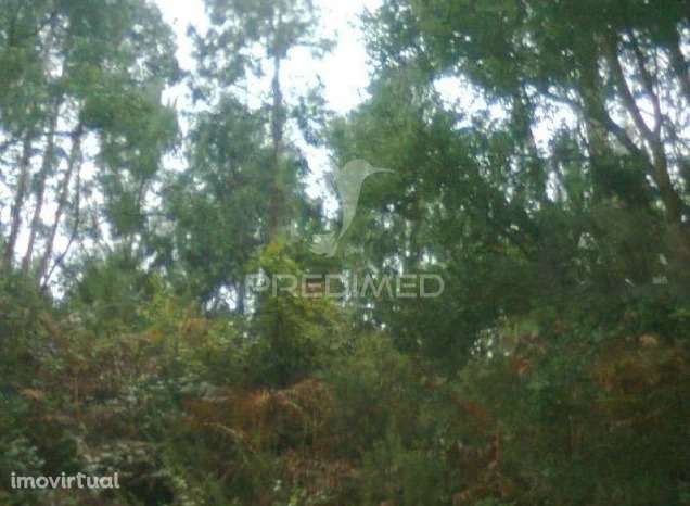 Terreno para construção - Grande imagem: 2/2