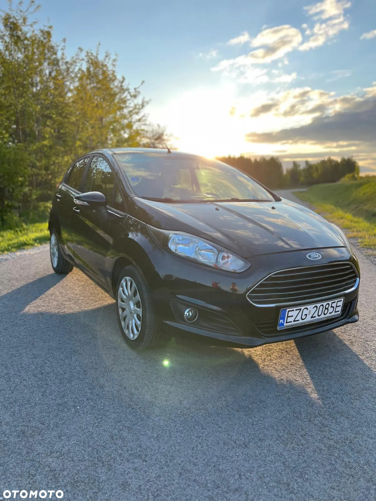 Ford Fiesta 1.0 EcoBoost Silver X EU6 - 10