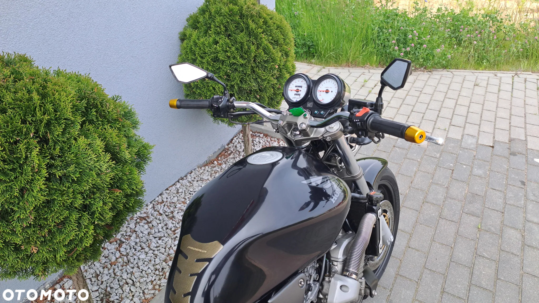 Honda Hornet - 19