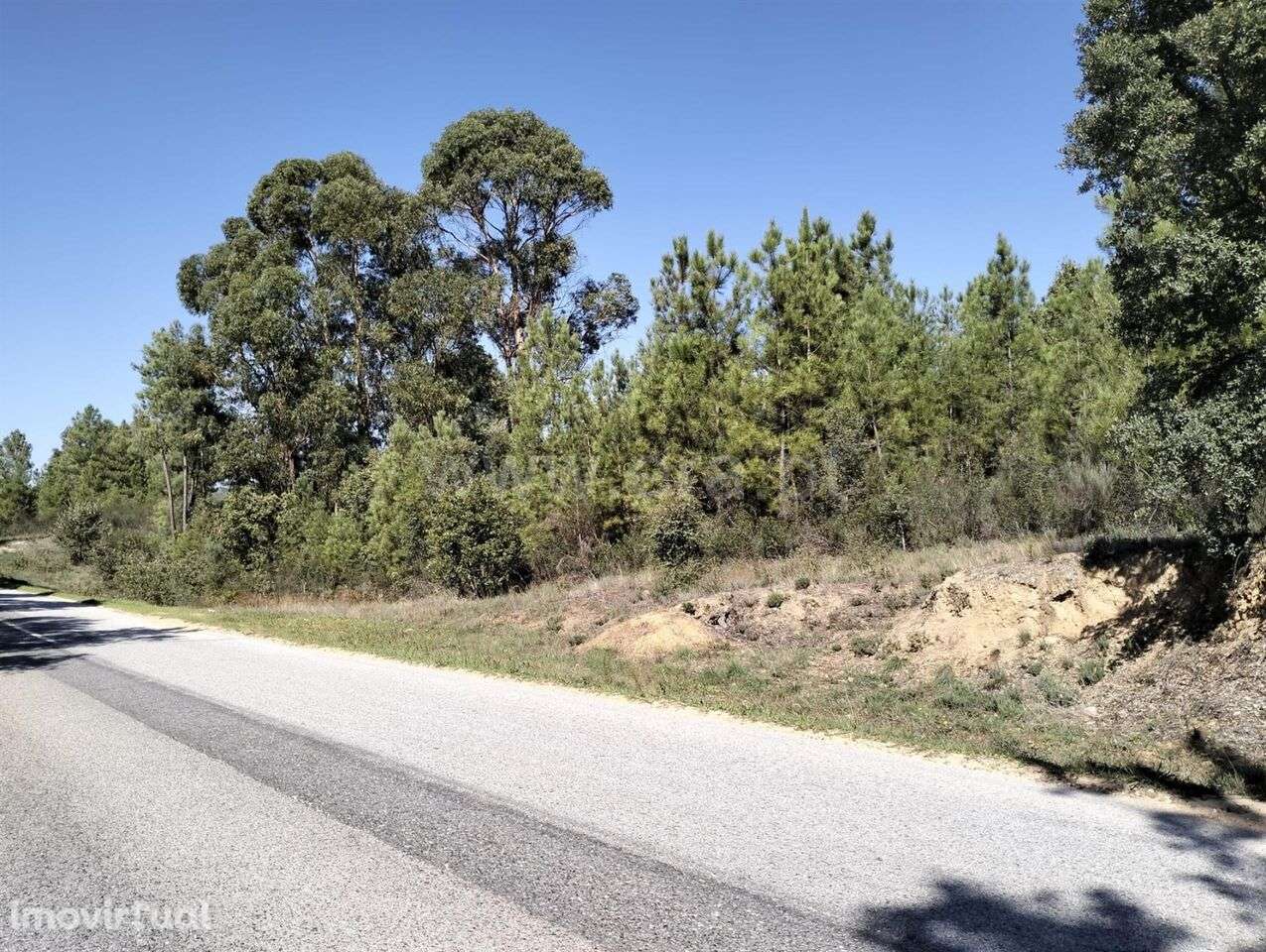 Terreno Rústico / Fundão, Pêro Viseu - Grande imagem: 4/5