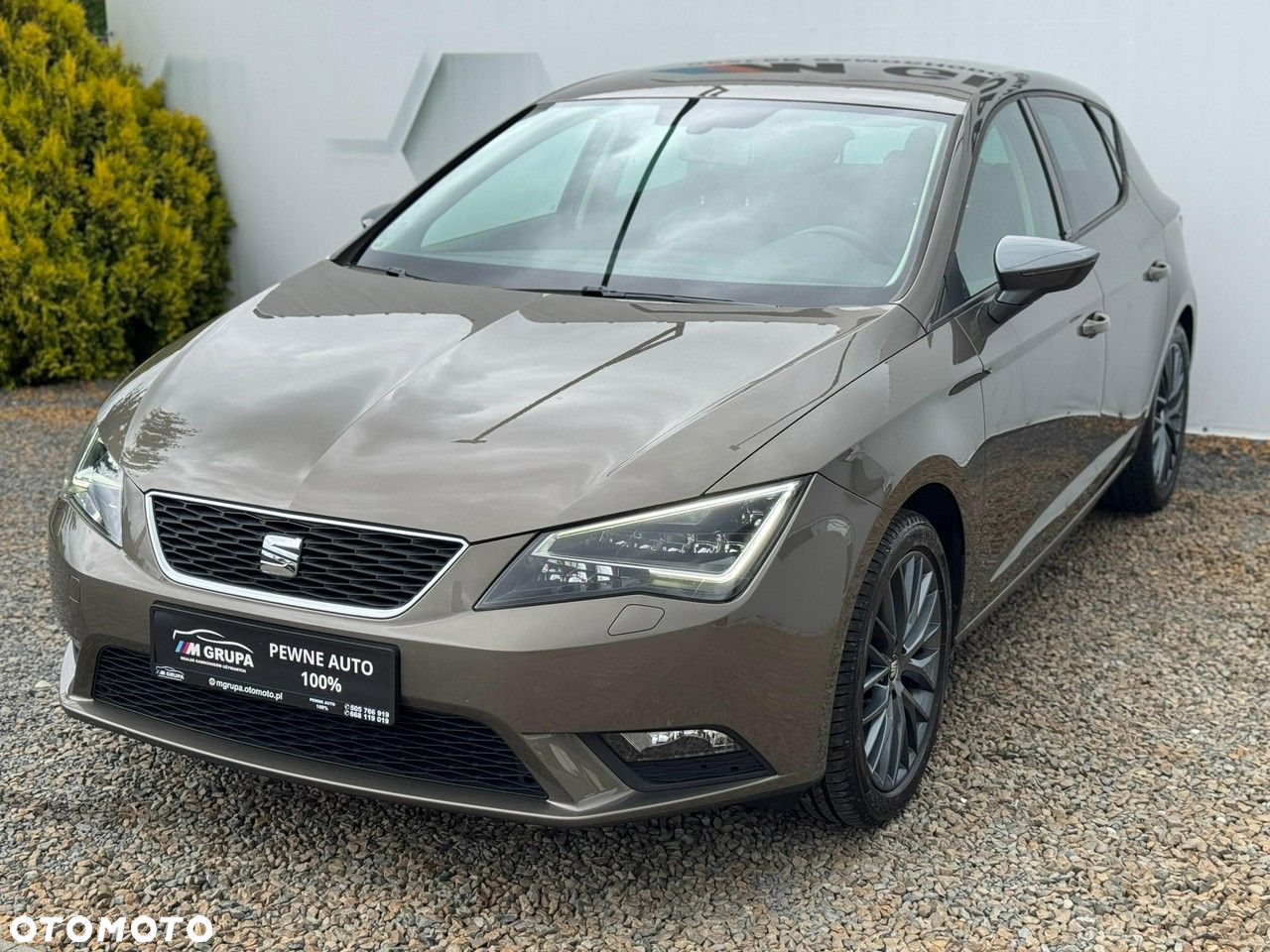 Seat Leon - 8