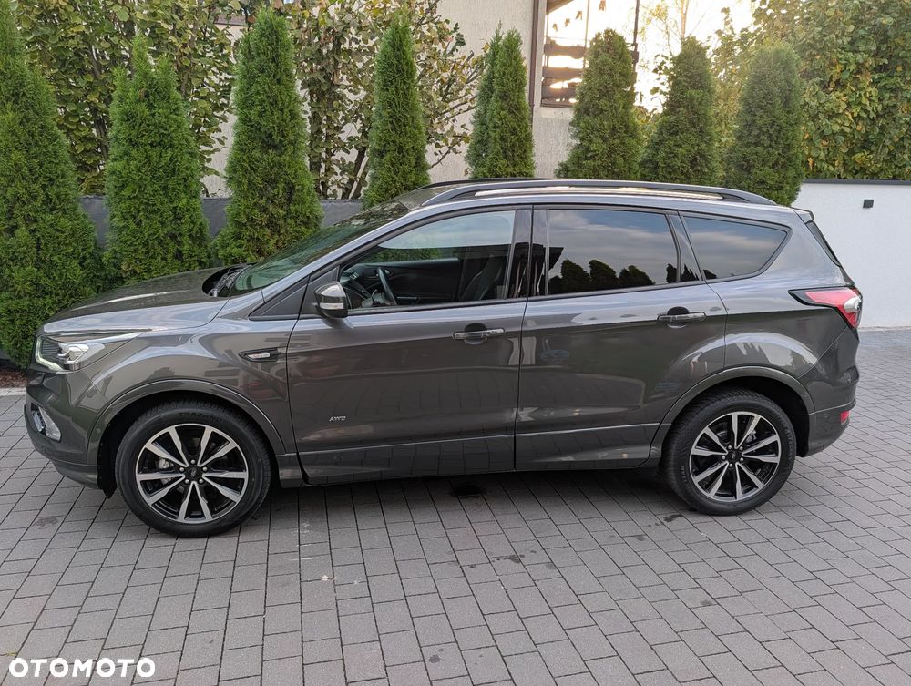 Ford Kuga 2019 photo 3