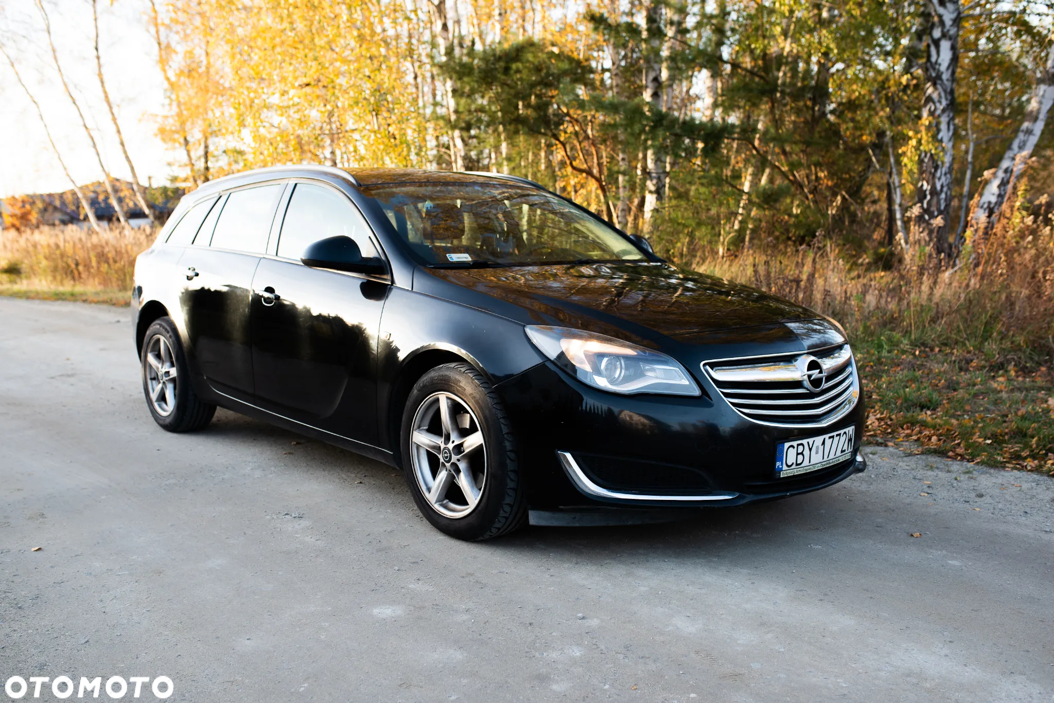Opel Insignia 2.0 CDTI - 10