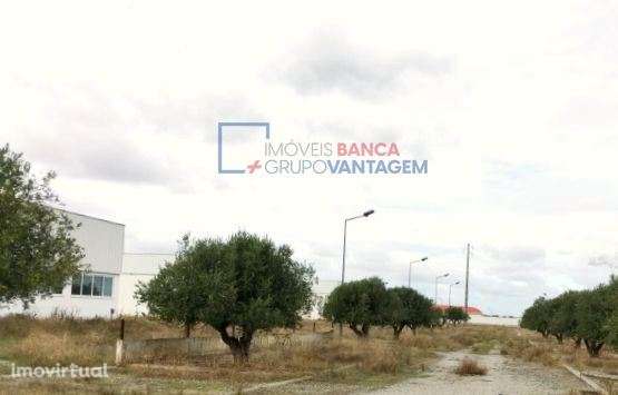 Parque industrial/logistico com 109.500m², 3 armazéns e moradia de ... - Grande imagem: 4/22