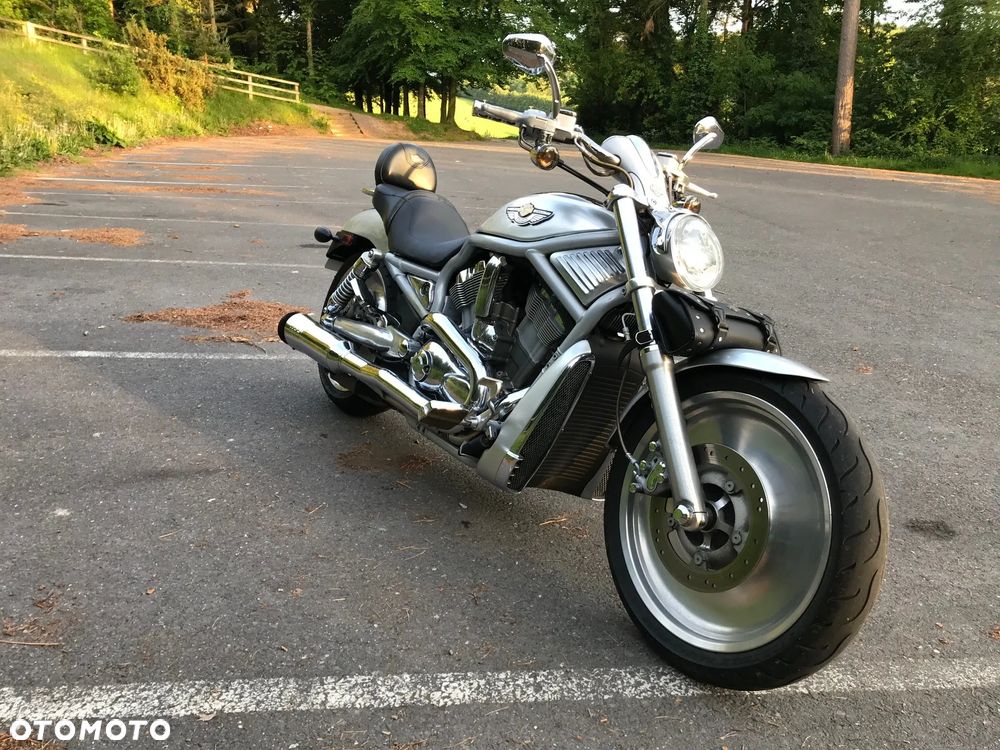Harley-Davidson V-Rod Street Rod - 7