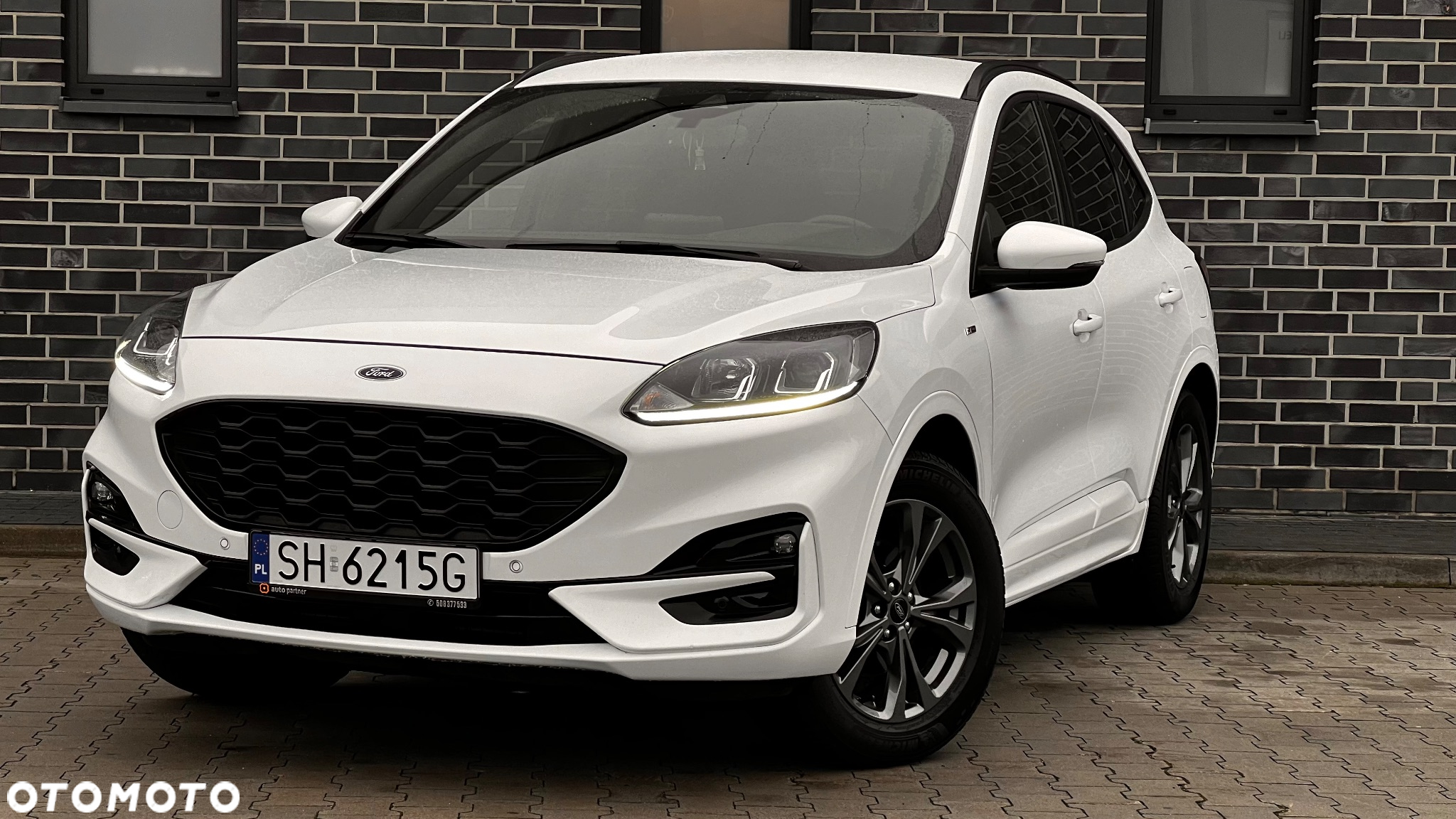Ford Kuga 2.0 EcoBlue 4x4 ST-LINE - 4