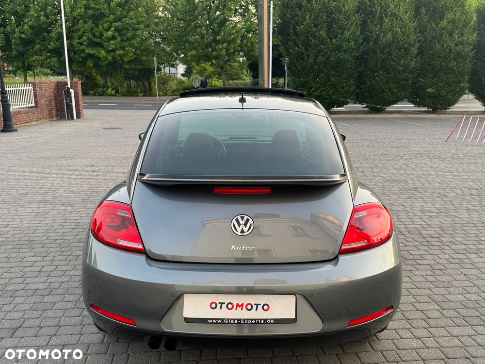 Volkswagen Beetle - 19