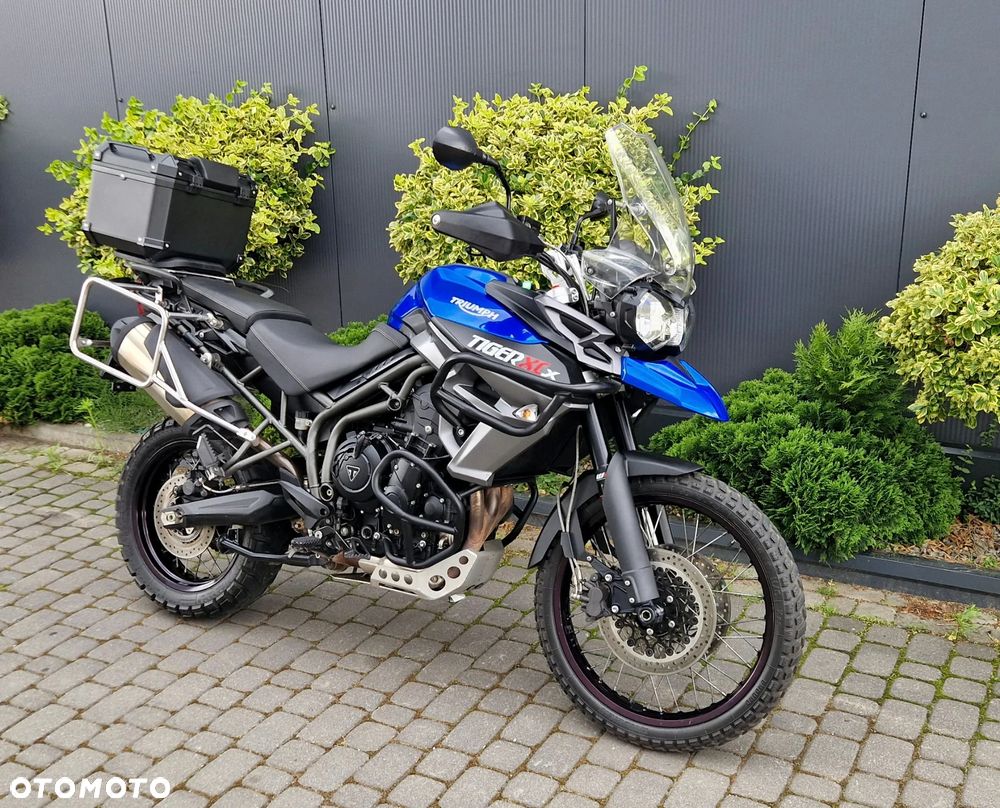 Triumph Tiger - 1