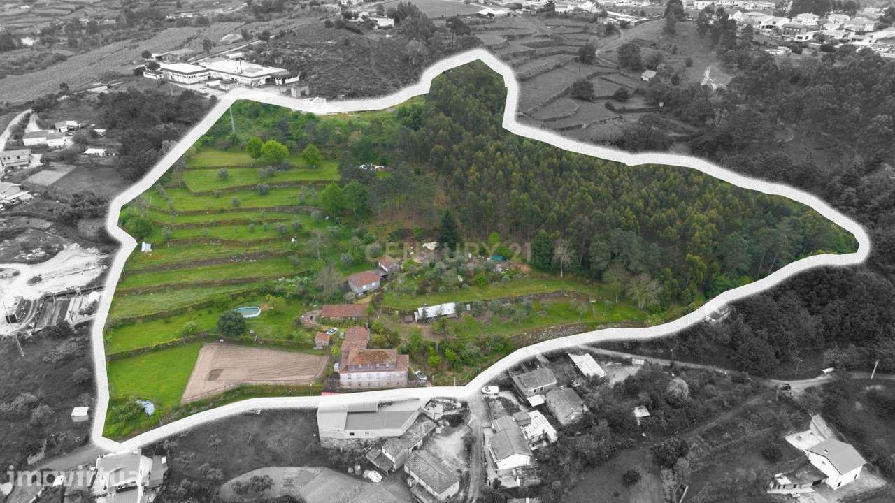 Quinta no Douro com potencial real de valorização e exploração turísti - Grande imagem: 3/60