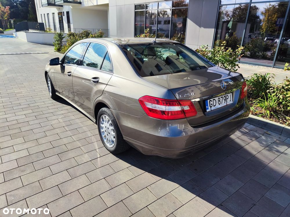 Mercedes-Benz Klasa E 250 CDI DPF BlueEFFICIENCY Automatik Elegance - 13