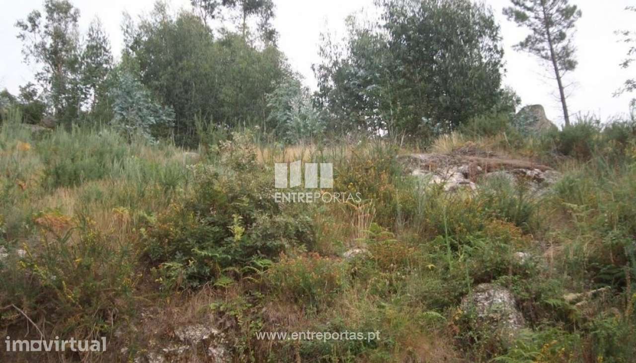 Venda Terreno, Tabuado, Marco de Canaveses - Grande imagem: 2/4