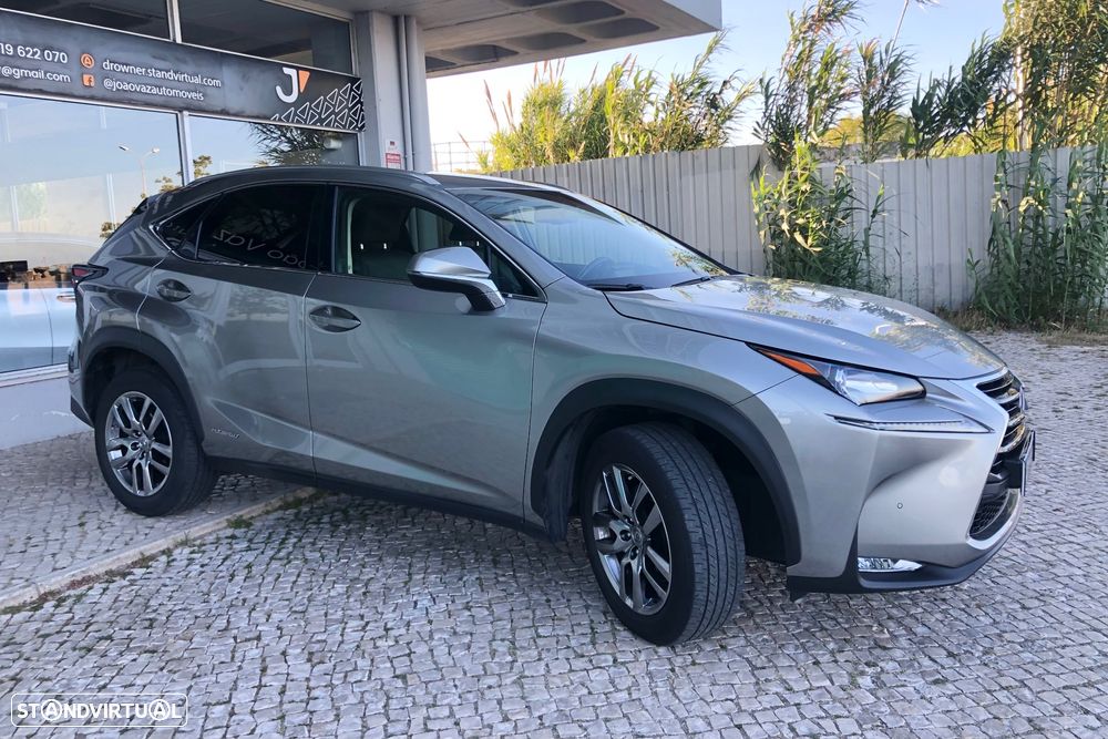 Lexus NX 300h Executive Plus - 7