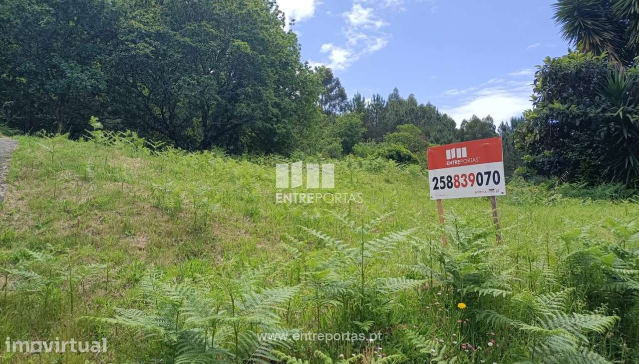 Venda de excelente terreno para construção, Areosa, Viana do Castelo - Grande imagem: 4/29