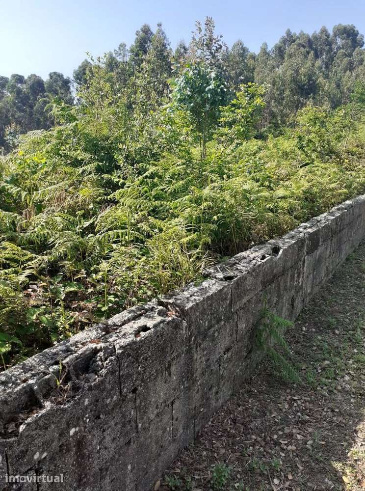 Vende-se Terreno urbano em Sanguedo com 700 m2 - Grande imagem: 2/7