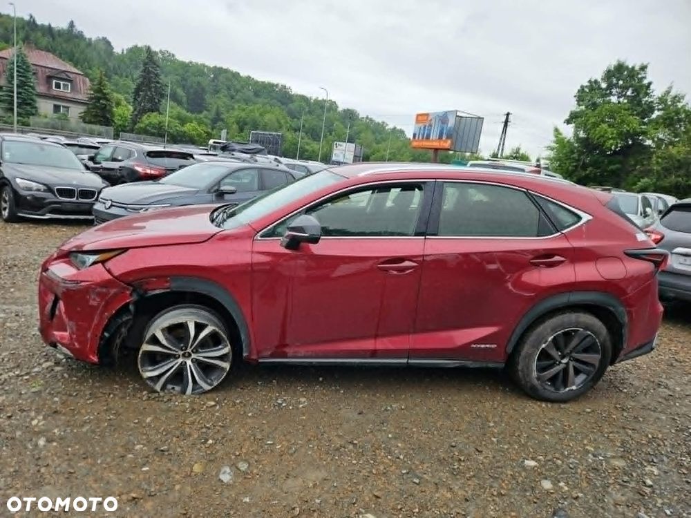 Lexus NX 300h Business Edition - 13