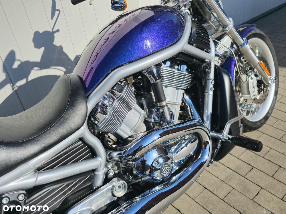 Harley-Davidson V-Rod Street Rod - 4