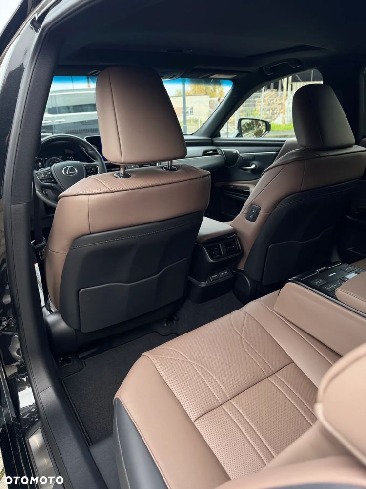 Lexus ES 300h Omotenashi - 20
