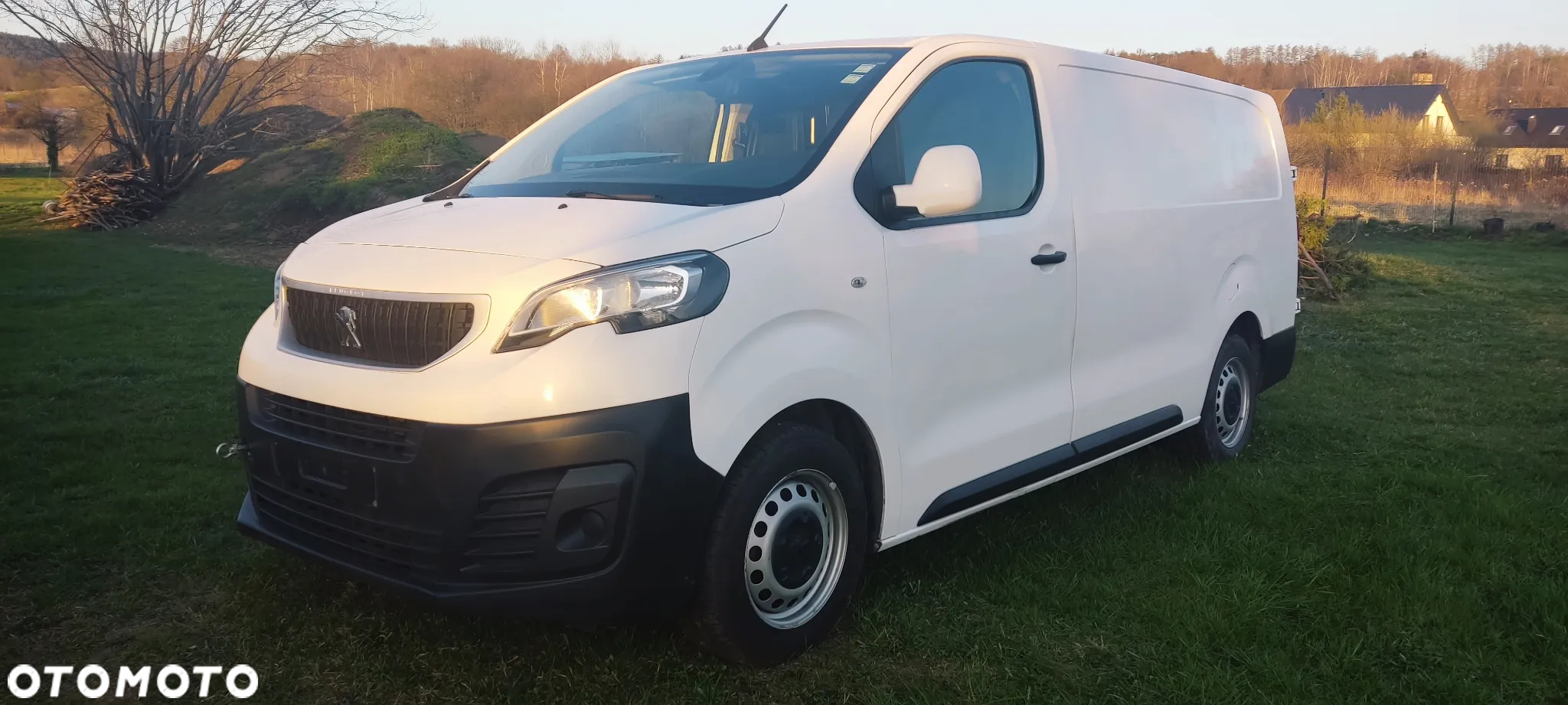 Peugeot Expert 2.0 hdi * Long * - 19