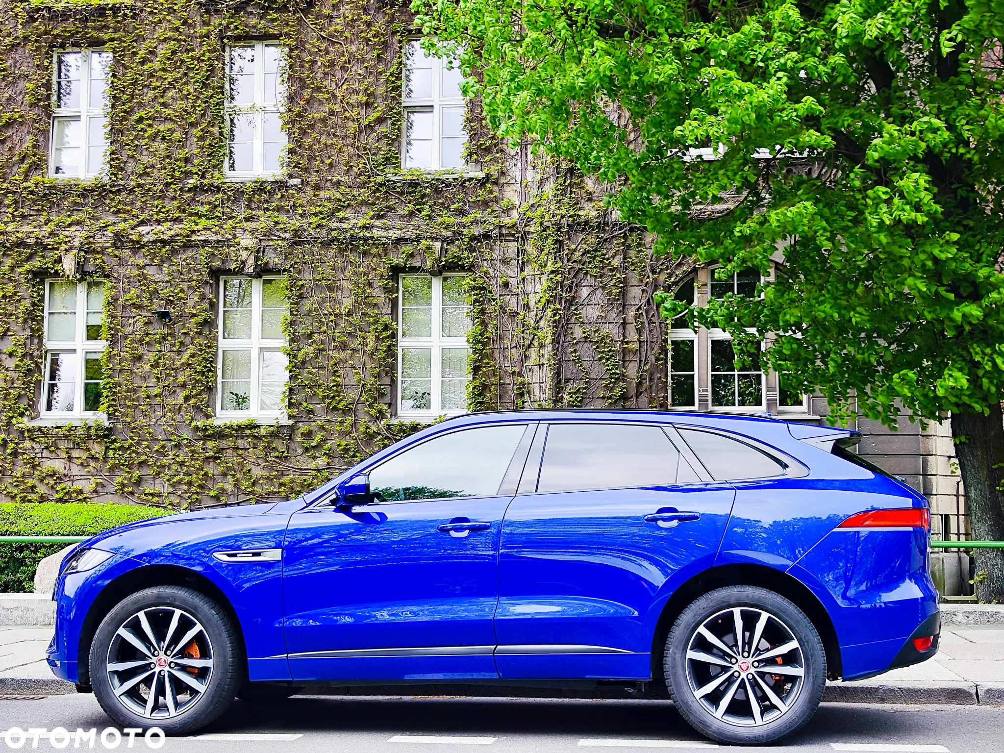Jaguar F-Pace 2.0 i4D AWD R-Sport - 15