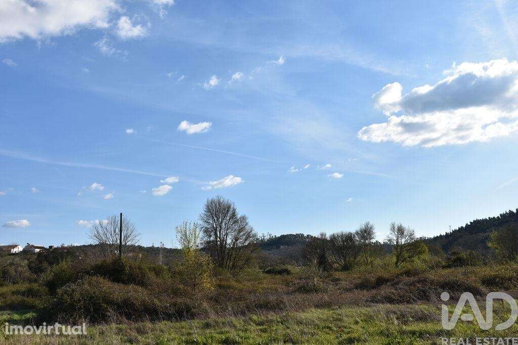 Terreno Agrícola em Chãos - Grande imagem: 5/13