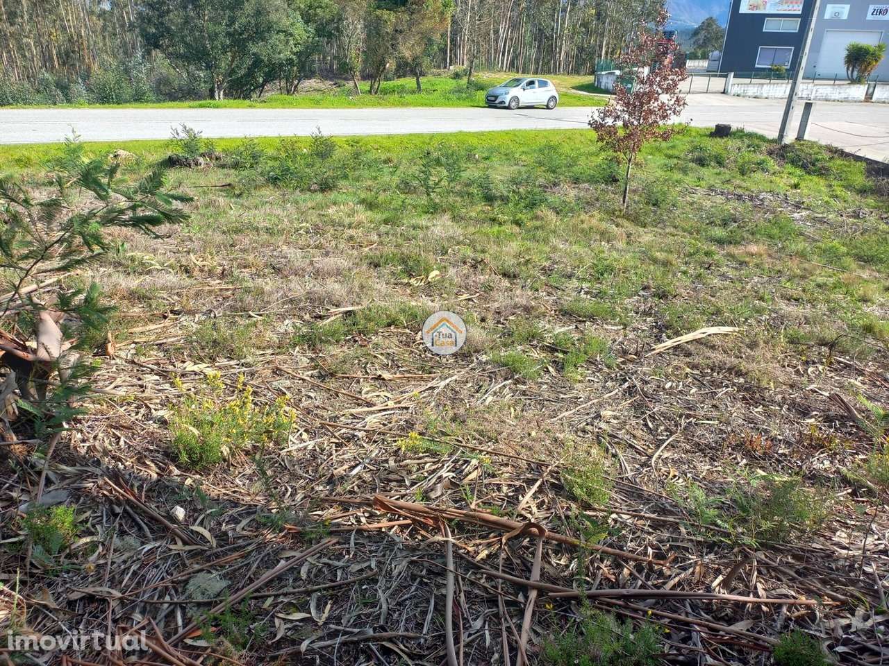 Terreno Rústico - Grande imagem: 5/7