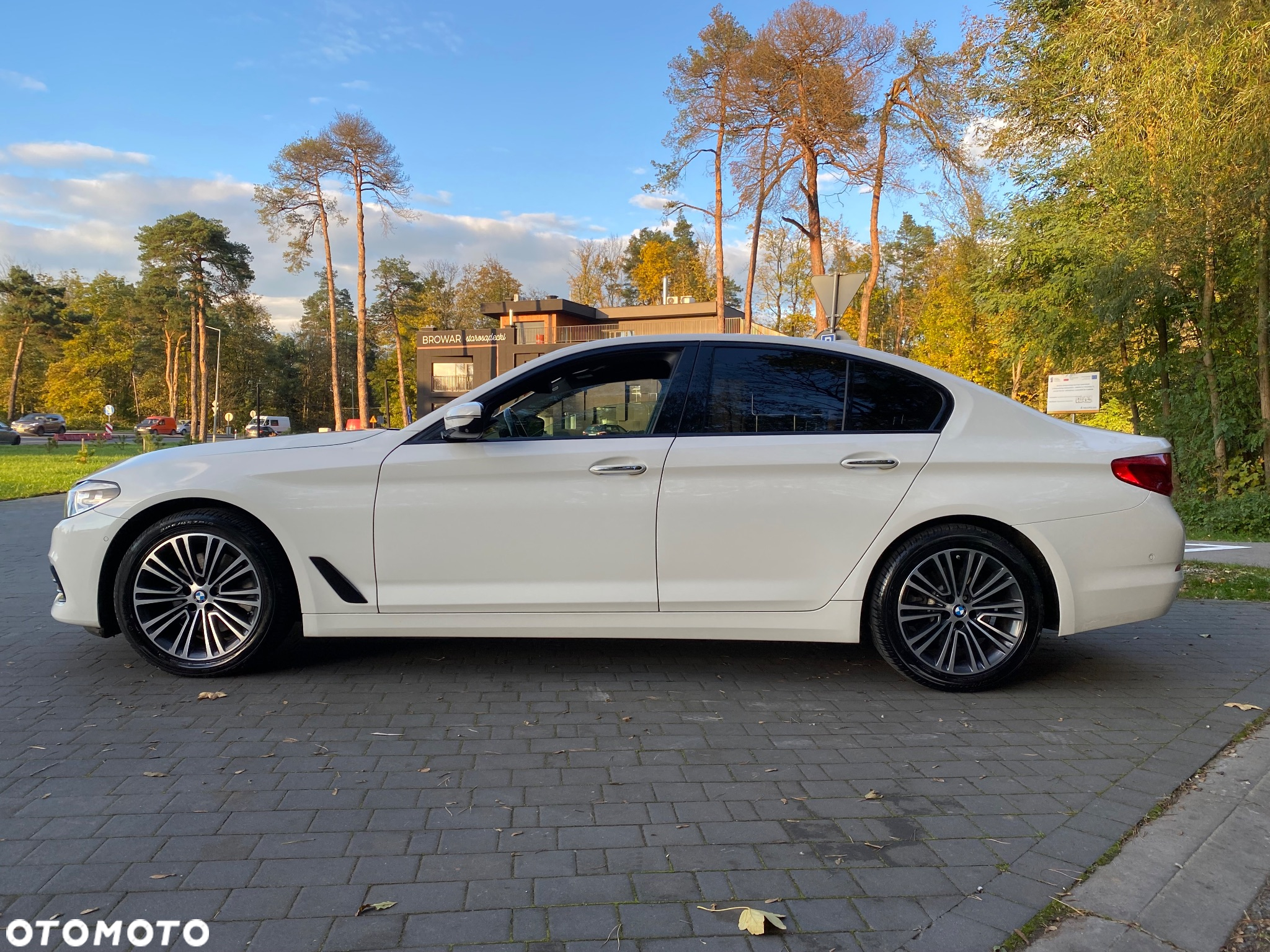 BMW Seria 5 520d xDrive Sport Line sport - 8