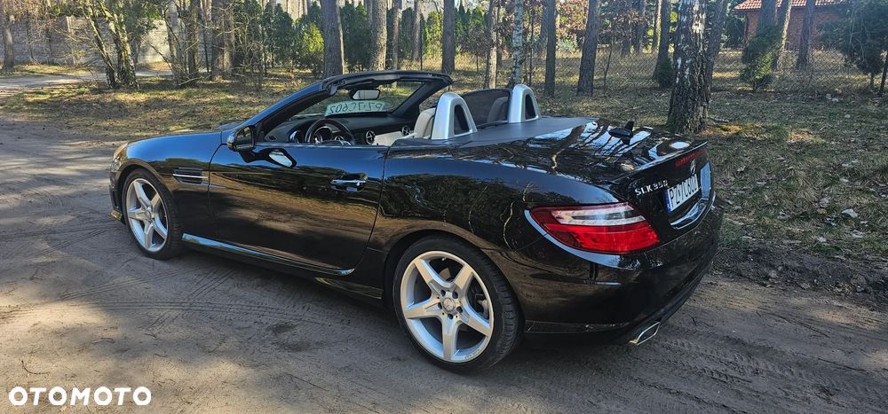 Mercedes-Benz SLK 350 (BlueEFFICIENCY) 7G-TRONIC - 5