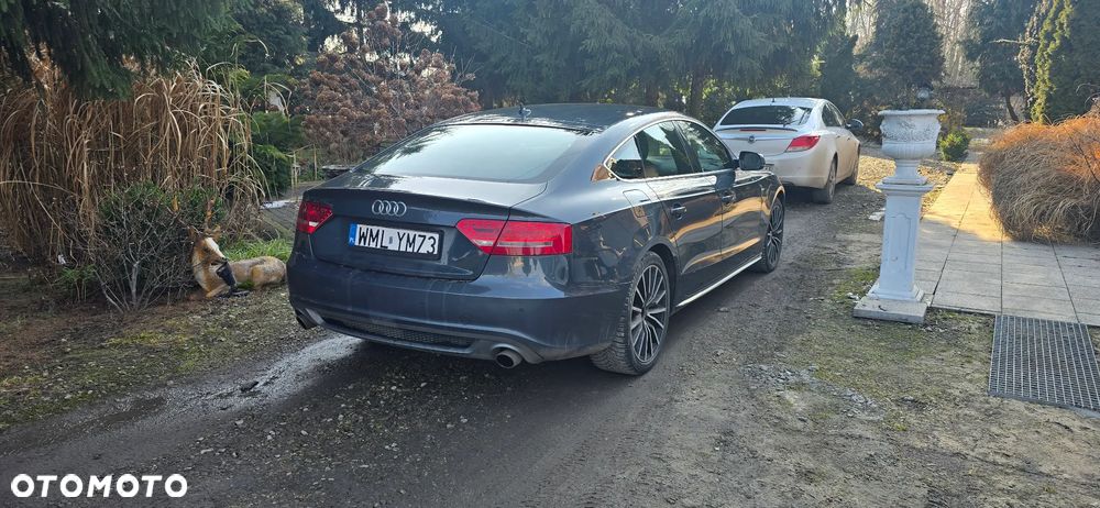 Audi A5 Sportback 3.0 TDI quattro DPF S tronic - 4