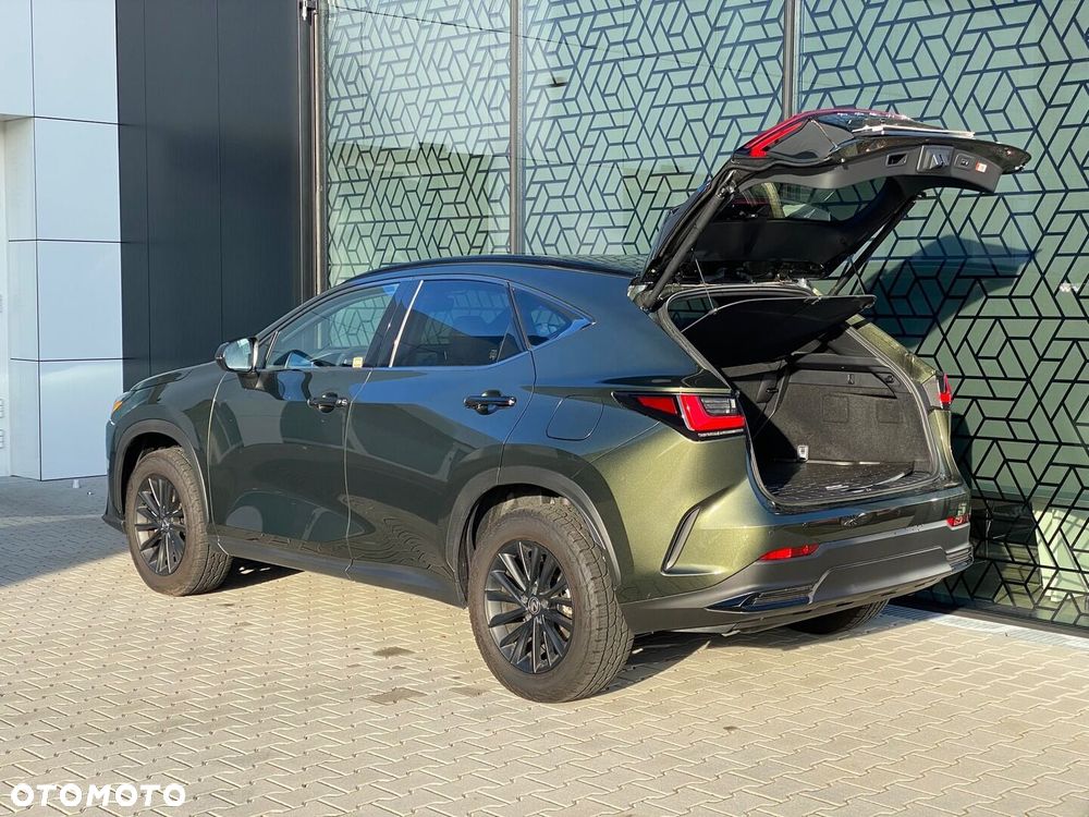 Lexus NX 350h Overtrail AWD - 38