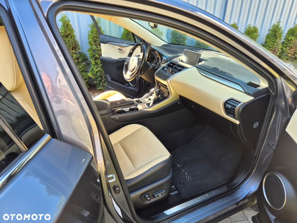 Lexus NX 300h Business Edition AWD - 17