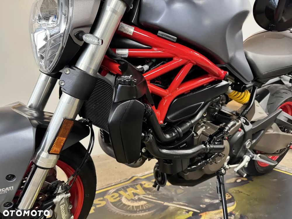 Ducati Monster - 19