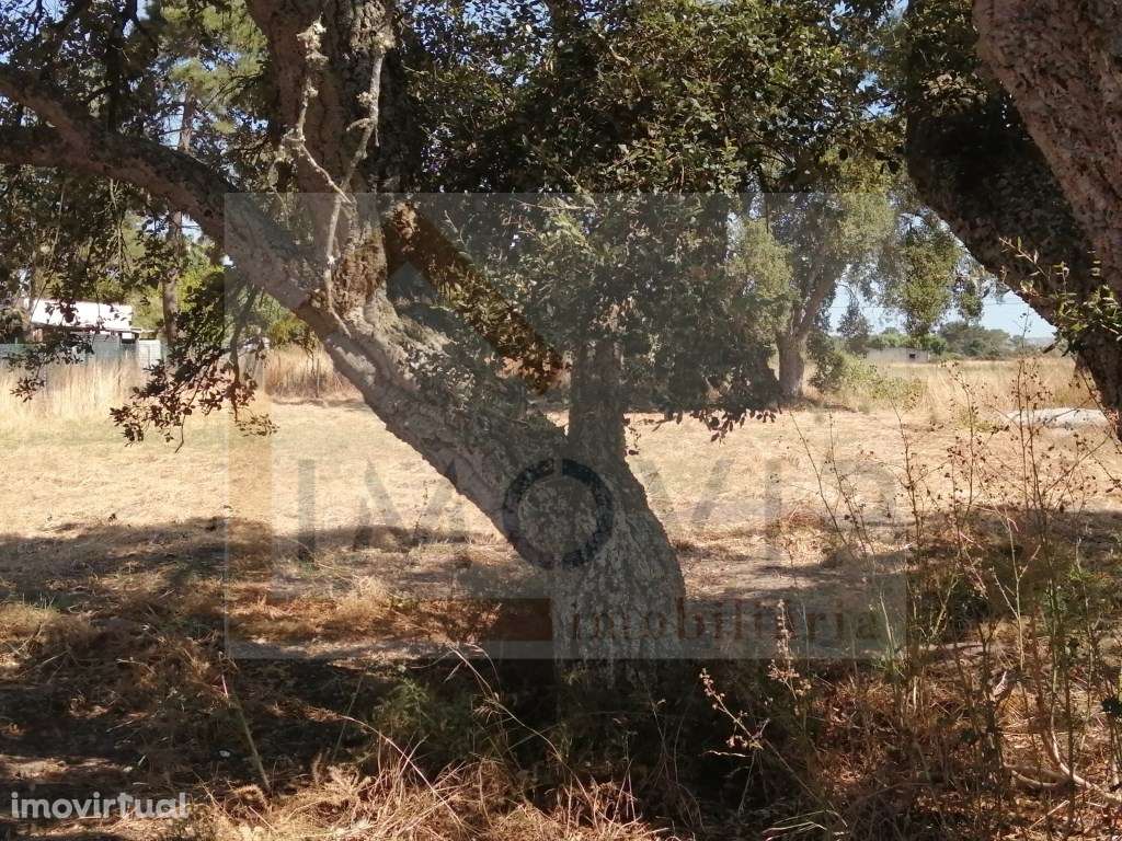 TERRENO Rústico com 5250 m2 no Terrim - Grande imagem: 5/27