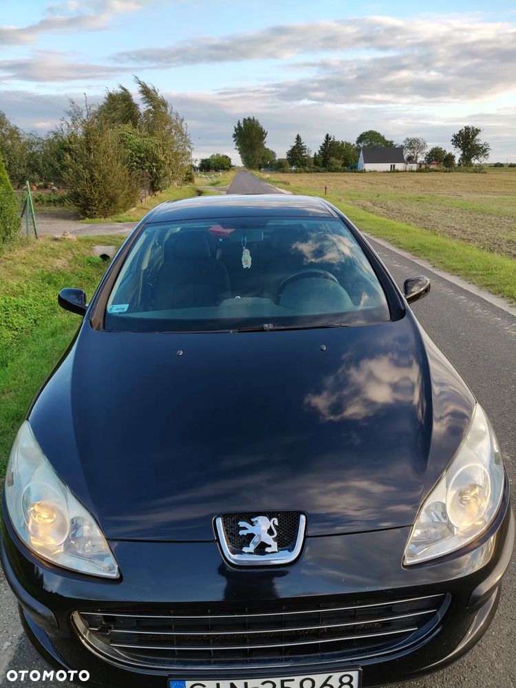 Peugeot 407 1.8 Presence - 11