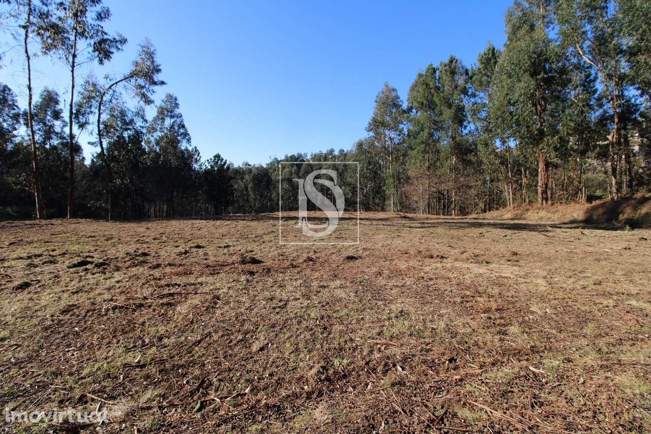 Terreno Exclusivo em Telões, Amarante - Grande imagem: 4/19