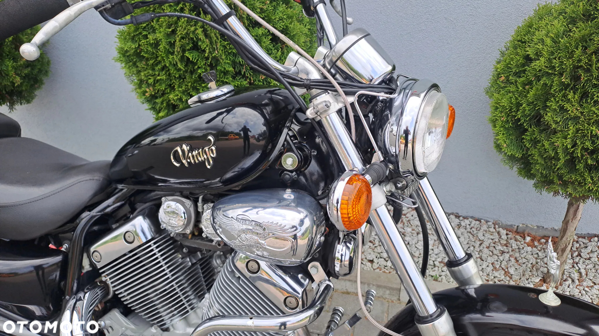 Yamaha Virago - 10
