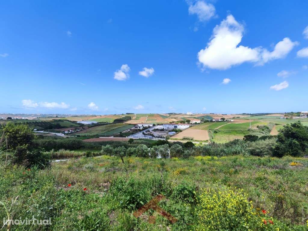 Terreno com Projeto Aprovado - Grande imagem: 2/8