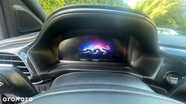 Ford Puma - 15