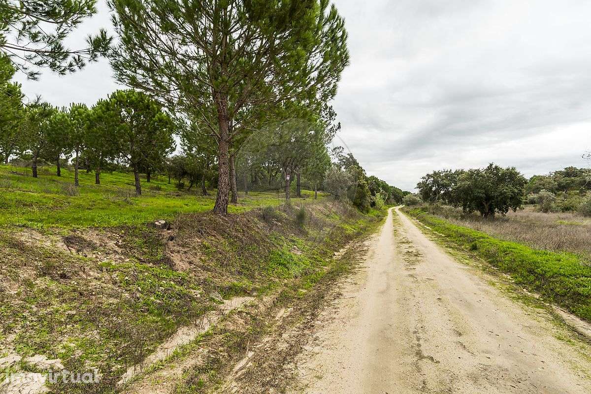 Terreno  para venda - Grande imagem: 4/13