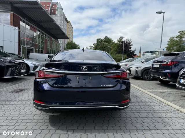 Lexus ES 300h Omotenashi - 6