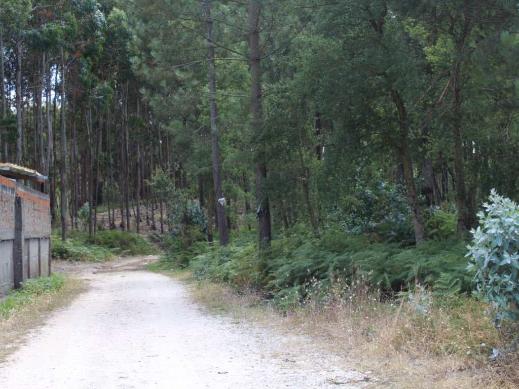 Terreno c/ 10712m2 - Grande imagem: 2/8