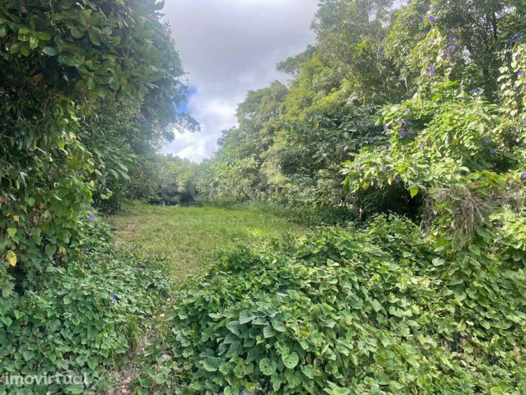 Terreno Rústico com 484 m² - Porto Martins, Terceira - Grande imagem: 3/20